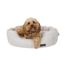 Luxe Boucle Shell Pet Bed